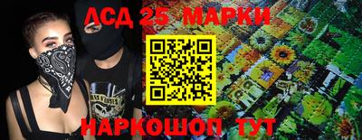 гашик Сланцы