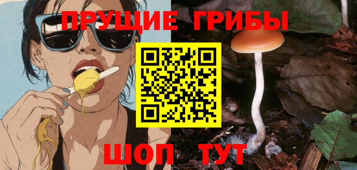 Псилоцибиновые грибы GOLDEN TEACHER  Вход с VPN  Осинники  Галлюциногенные грибы мухоморы 